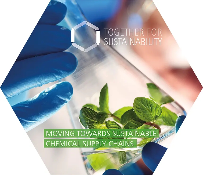 EcoVadis認(rèn)證